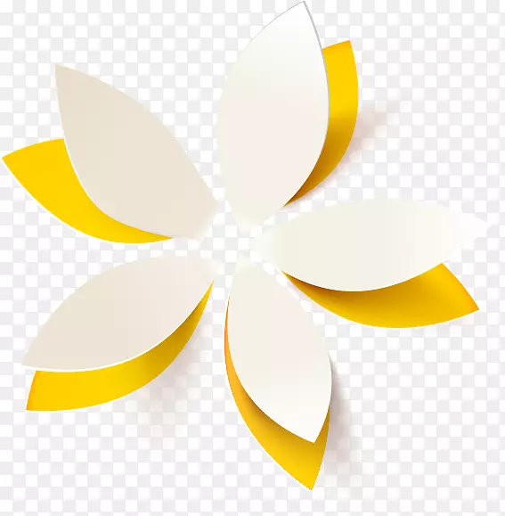 �����ֽ���ϵ����������-������