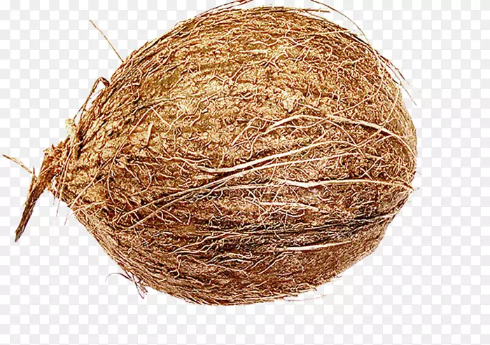 Ҭ�Ӵ���ļ���������-Ҭ��-������