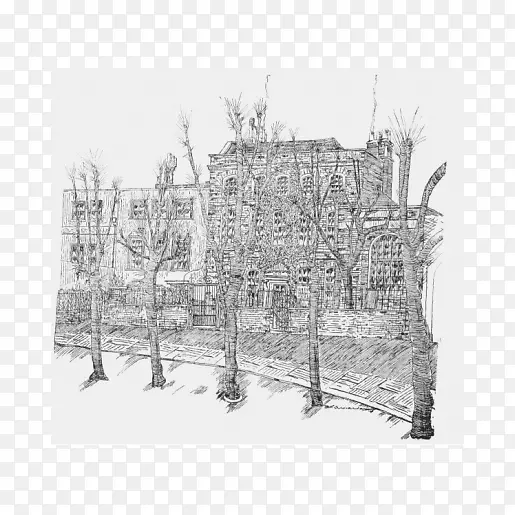 �����ΰ׹�԰��������-������