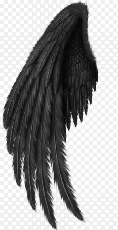 ˮţ��������-������