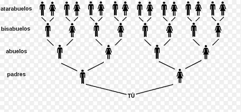 ���ߵ��-��-������