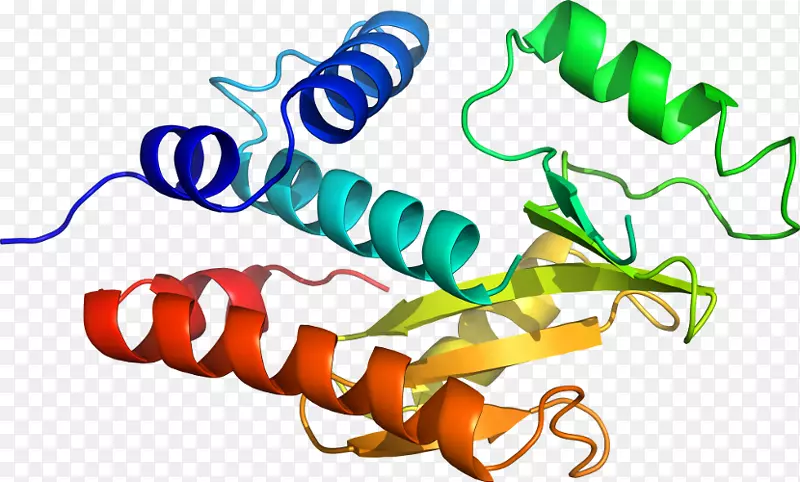 �����߶����������-������