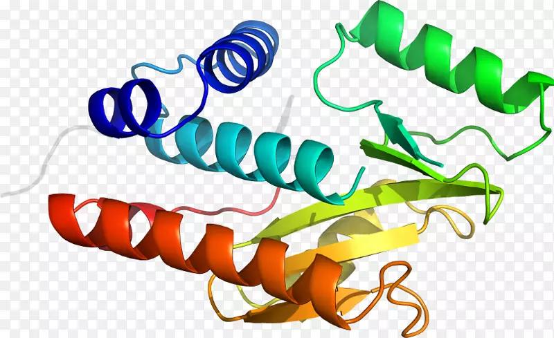 �޼�׵�����߶����������-������