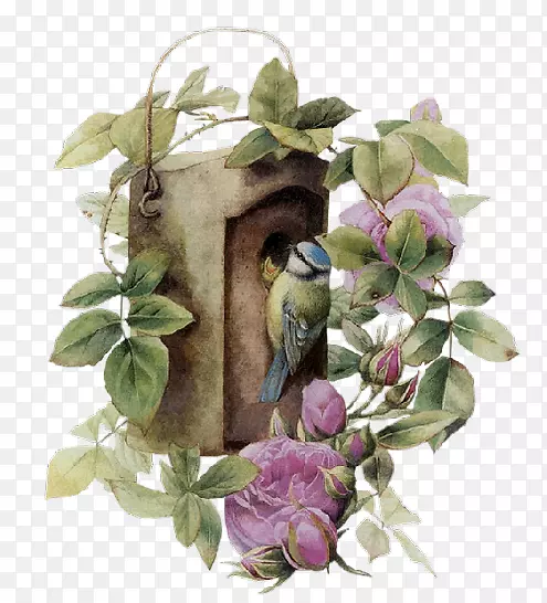 ������Ƭ-��-������