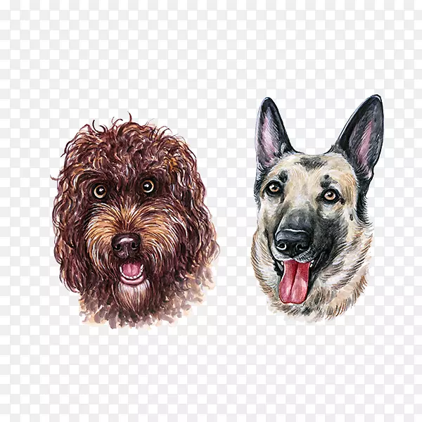 ˮ�ʻ�С��-������