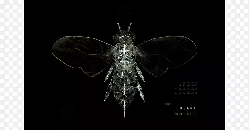 ������������ֽ���ۻ�-������