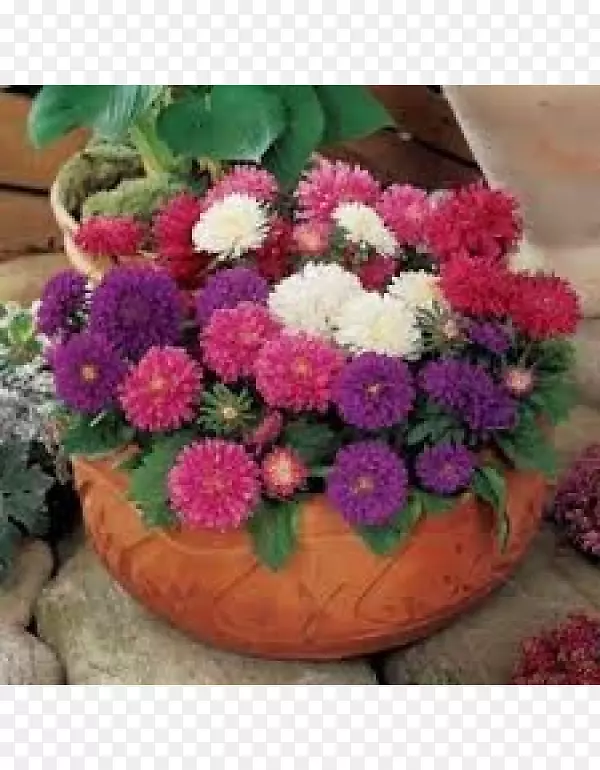 �����ƻ�̦õ�����������ӿ����辰������-������