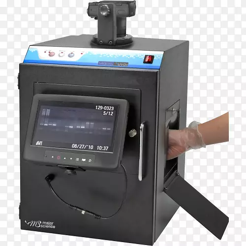 ��������ѧ��Westernblot��Ӿ����ӡ������-��ѧ-������