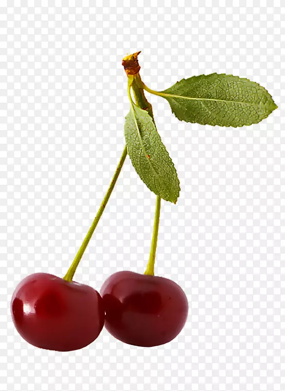 ��ӣ�ҹ�-������