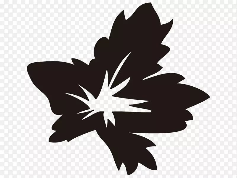 1��31�ղ���-������