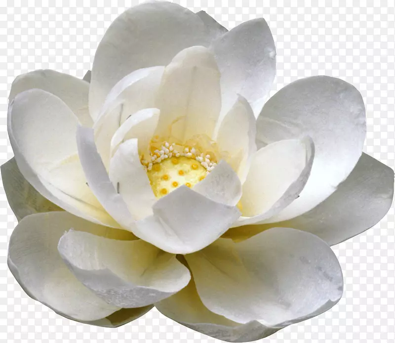 �廨����-������