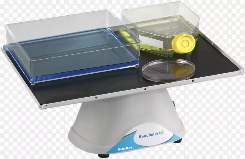 ҡ��ʵ����ҡ�˿�ѧ���л����-��ѧ-������