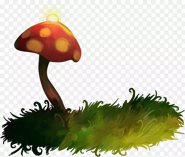 �㹽-Ģ���̲�-������