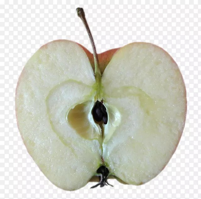 ƻ�����ص����ʼ�3d�ֿ��������-ƻ��-������