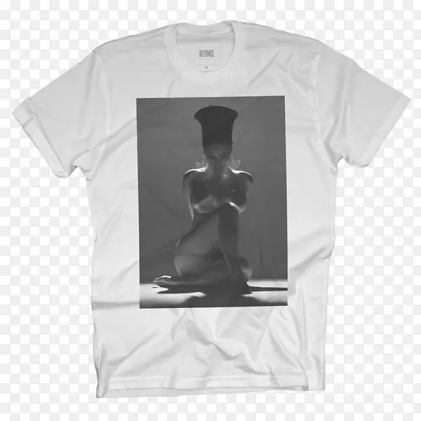 t��ñ����Ͳ����-������