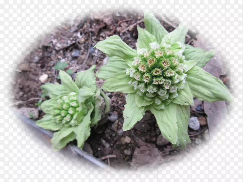 �ݱ���-������