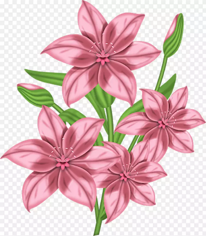 ���ջ����ؿ�������-ֲ��-������