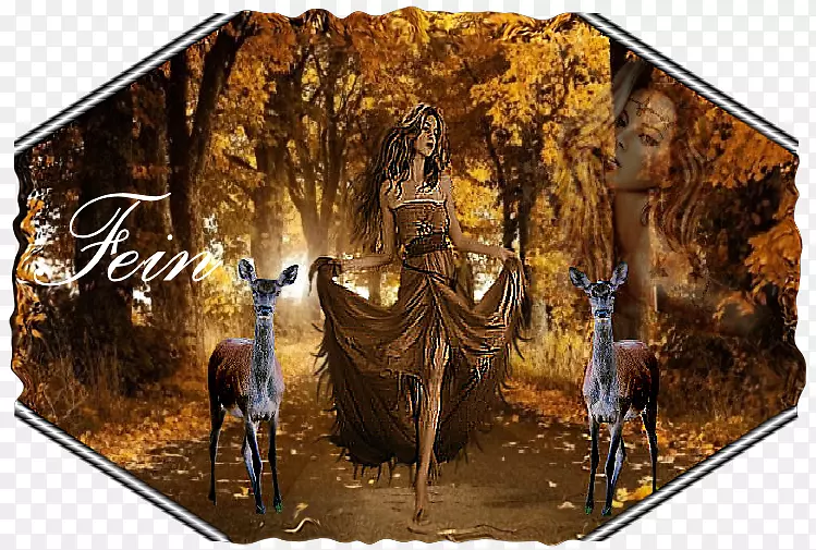 �����������Ĵ�����ɽˮ��-Fein-������