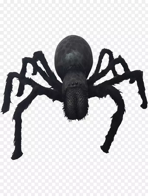 ֩������֩��-������