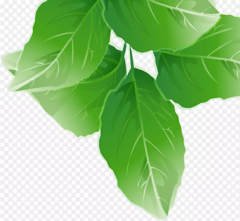 ����Ҷ-������