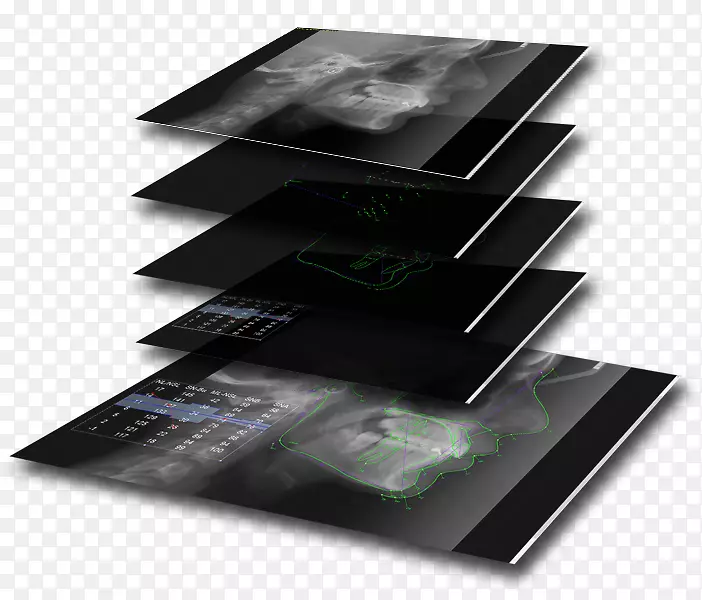 Ʒ�����-������