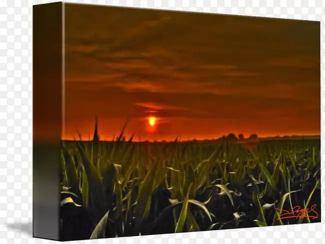 ���ܻ����-������-������