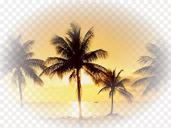 �����ֽYouTube��ͼ����ֽ-������