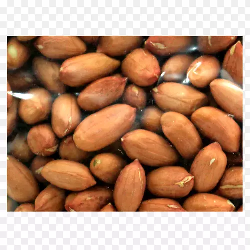 ����ʳƷ.���ʳƷ-������