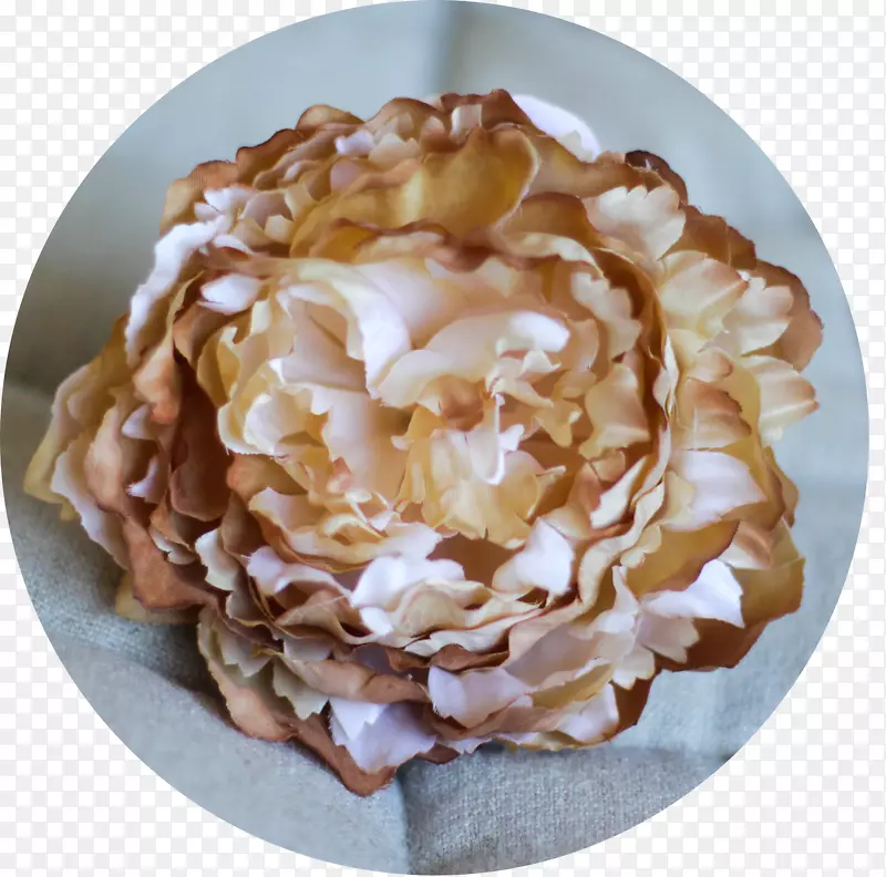 �����ʼ�����֦-��-������