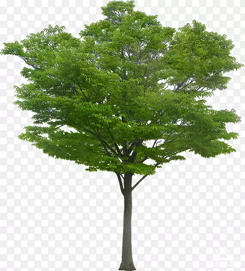 �������ֽ-��-������