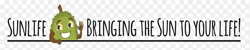 �̱�����-�������-������