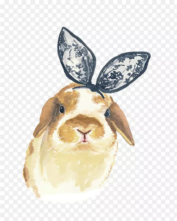 ���������ˮ�ʻ���ͼ-С���£��������ֻ棬ˮ�ʻ���С��-������