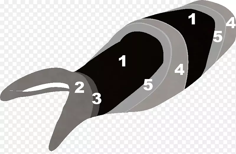 �������-������