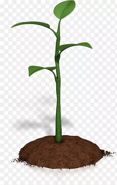 ֲ�ﶯ��microsoft powerpoint������-ֲ��-������