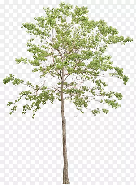 �������ͼ�����-������