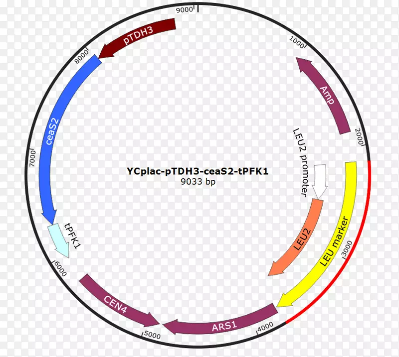 ������ʻ��򹤳̻����������г�����pgk 1-С��-������