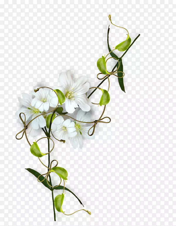 ��������л�����-������