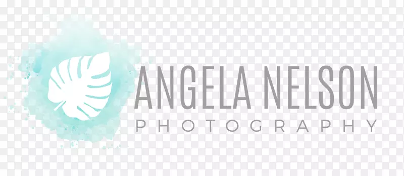 �̱��������-������