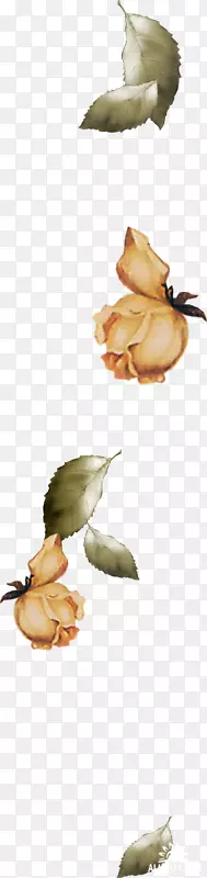 ��ë�-��ë-������