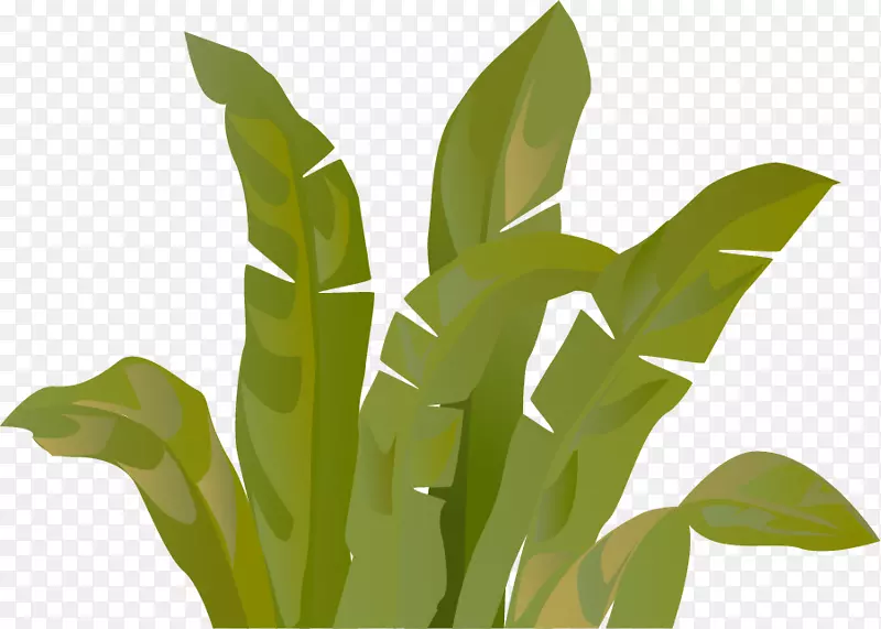 ���ʦ�ֻ��̲�-������