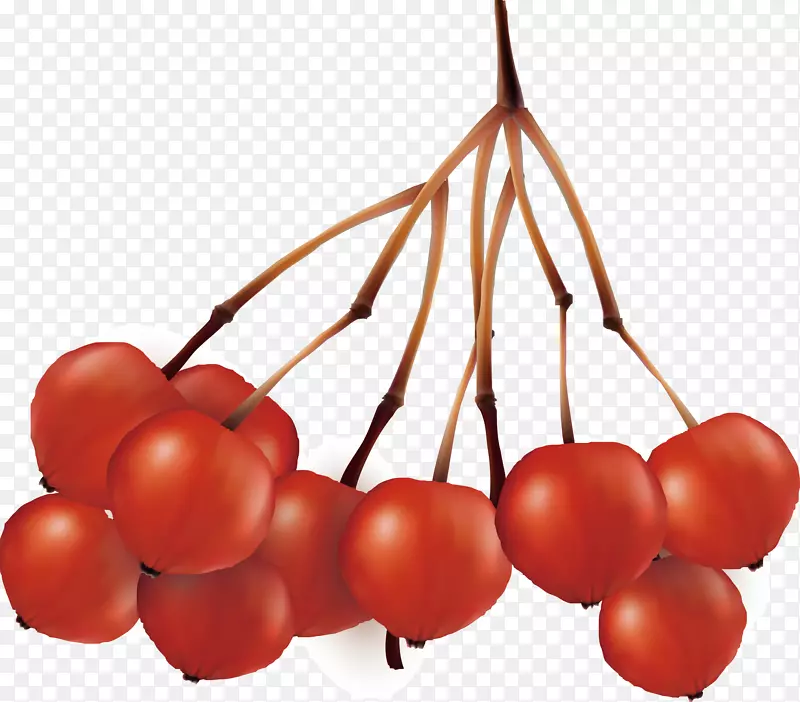 ӣ�Һ��ƻ���ʹ���ӣ��-������