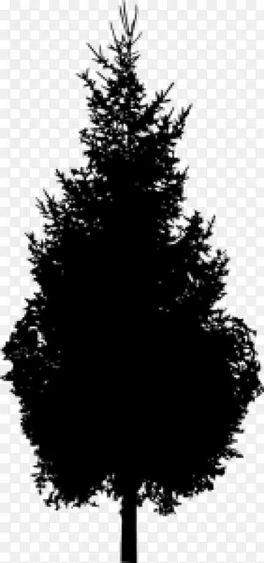 ��ɼ���ɼ�Ӱ�ڰ����-������