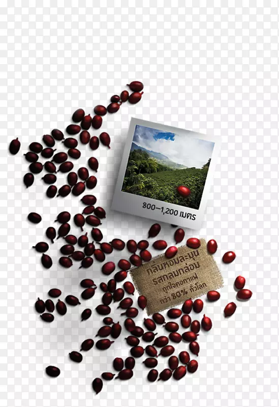 ����ʳƷ-���Ȱ�������-������