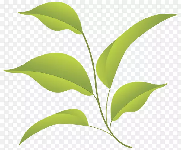 Ҷ-������