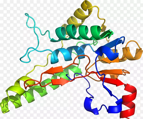 �����߶����������-������