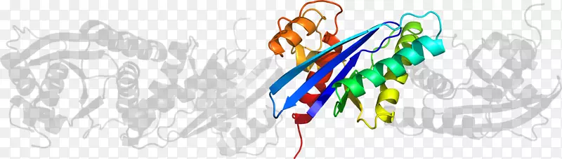 �ߵ������-��-������