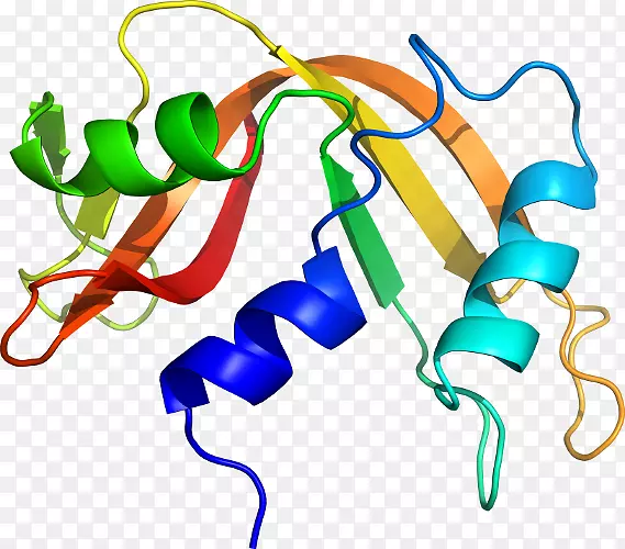 �ߵ������������-������