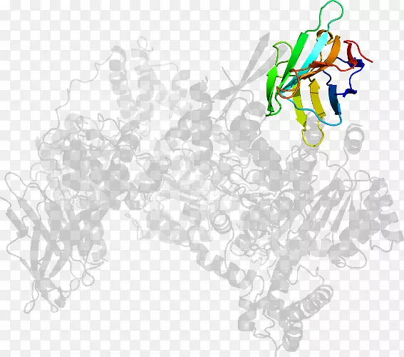 ���������-������