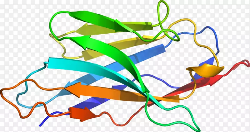 �ߵ������-��-������