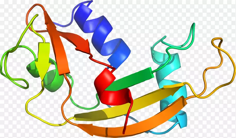 ����ֲ���л����߼�����-�߲�-������